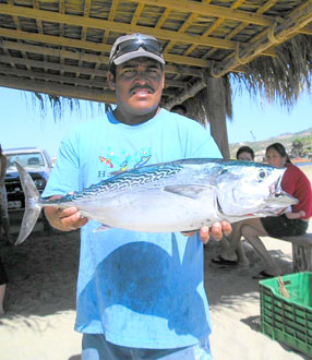 San Jose del Cabo Mexico Fishing Photo 2