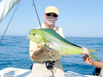 Cabo San Lucas Mexico Fishing Photo 3