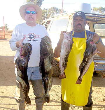 Ensenada Mexico Fishing Photo 1