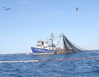 Magdalena Bay Mexico Fishing Photo 2