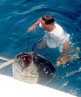 Ixtapa Zihuatanejo Mexico Fishing Photo 2