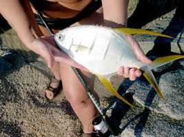 San Jose del Cabo (Los Cabos) Mexico Fishing Photo 3