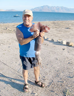 Bahia de los Angeles Mexico Fishing Photo 3