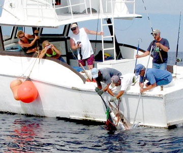 Mazatlan Mexico Fishing Photo 1