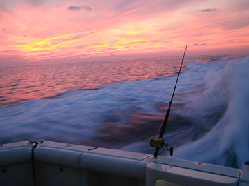 Puerto Vallarta Mexico Fishing Photo 8