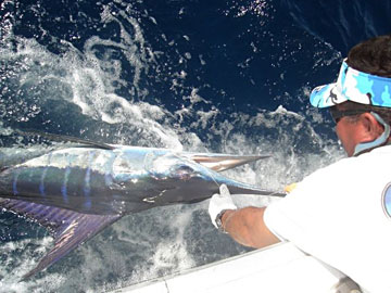 Cabo San Lucas Mexico Fishing Photo 4