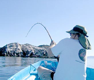 Bahia de los Angeles Mexico Fishing Photo 2