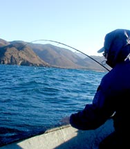 Puerto Santo Tomas Mexico Fishing Photo 3