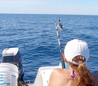 Cabo San Lucas Mexico Fishing Photo 2