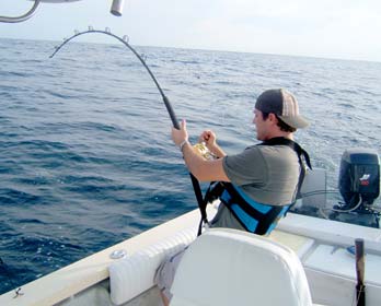 Puerto Vallarta Mexico Fishing Photo 3