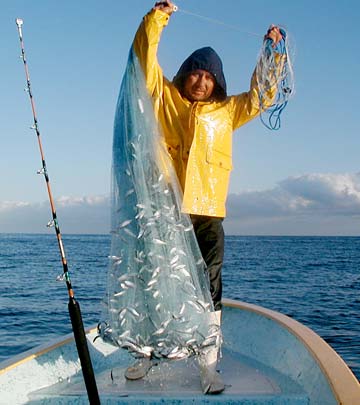 Baja California Mexico Fishing Photo 1