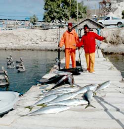 Santa Rosalia Mexico Fishing Photo 1