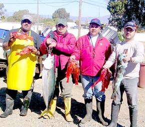 Ensenada Mexico Fishing Photo 2