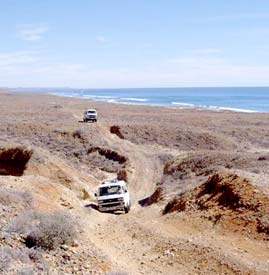 Baja California Mexico Fishing Photo 4