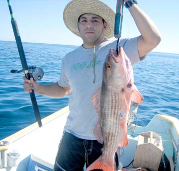 La Paz Mexico Fishing Photo 1