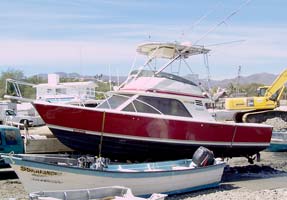 Puerto Vallarta Mexico Fishing Photo 3