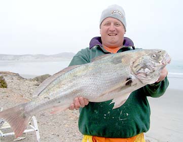 Baja Mexico Fishing Photo 1