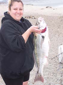 Baja Mexico Fishing Photo 2