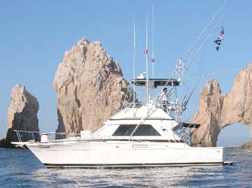 Cabo San Lucas Mexico Fishing Photo 1