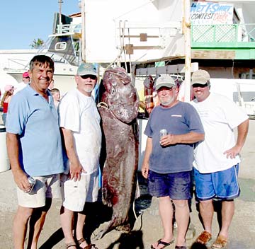 Rocky Point Mexico Fishing Photo 1