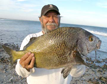 Baja California Mexico Fishing Photo 2