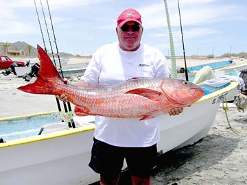 La Paz Mexico Fishing Photo 1