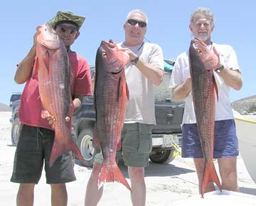 La Paz Mexico Fishing Photo 1