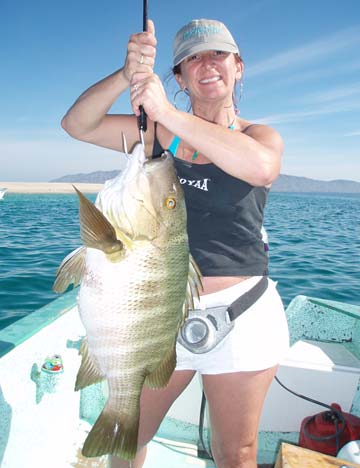 La Paz Mexico Fishing Photo 4