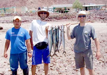 Papa Fernandez Landing Mexico Fishing Photo 1