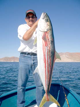 Bahia de los Angeles Mexico Fishing Photo 2