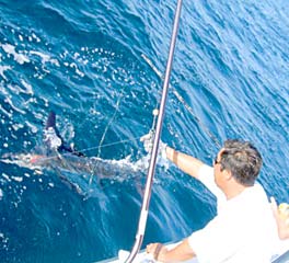 San Carlos Mexico Fishing Photo 1