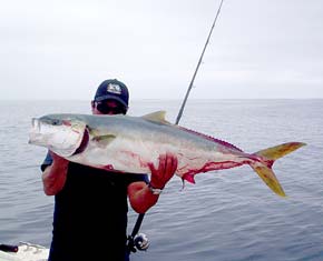 San Quintin Mexico Fishing Photo 7