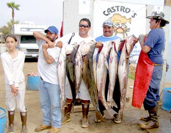 Castro's Camp Mexico Fishing Photo 1