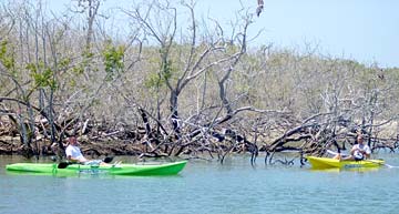 Magdalena Bay Mexico Kayak Fishing Photo 1