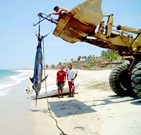 East Cape Mexico Fishing Photo 3