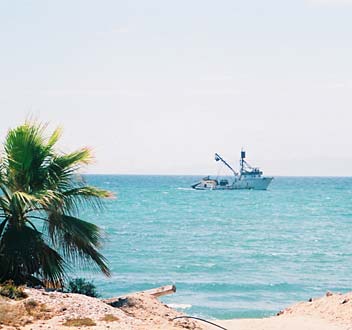 Mulege Mexico Commercial Fishing Photo 1