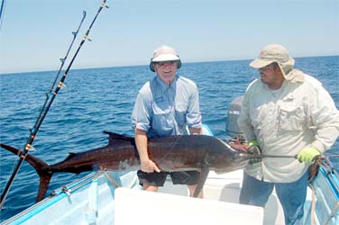 Sailfish caught while fishing at Loreto, Mexico.