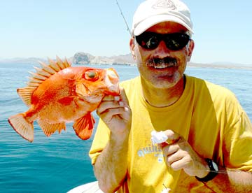 Popeye catalufa caught while Baja beach camping at Bahia San Nicolas, Mexico.