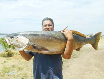 San Quintin Mexico White Seabass Fishing Photo 4