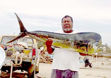 San Jose del Cabo Mexico Dorado Fishing Photo 1