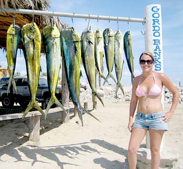 San Jose del Cabo Mexico Dorado Fishing Photo 1