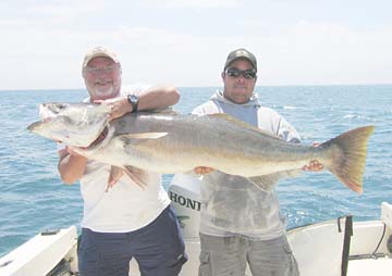 San Quintin Mexico White Seabass Fishing Photo 1