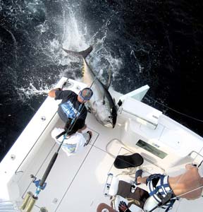 Puerto Vallarta Mexico Tuna Fishing Photo 2