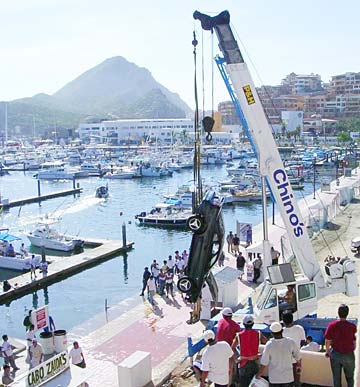 Cabo San Lucas Mexico Dock Photo 1