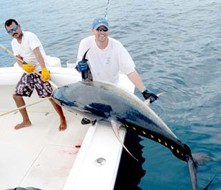 Puerto Vallarta Mexico Fishing Photo 1