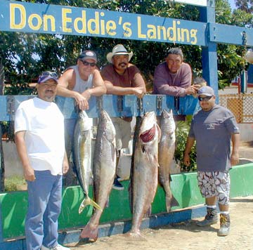 San Quintin Mexico Fishing Photo 1