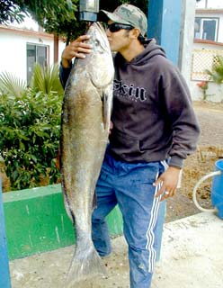 San Quintin Mexico Fishing Photo 2