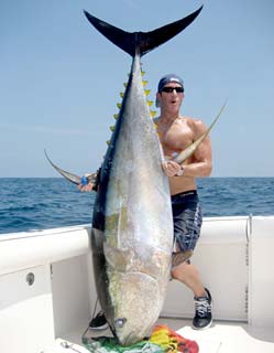 Puerto Vallarta Mexico Fishing Photo 1