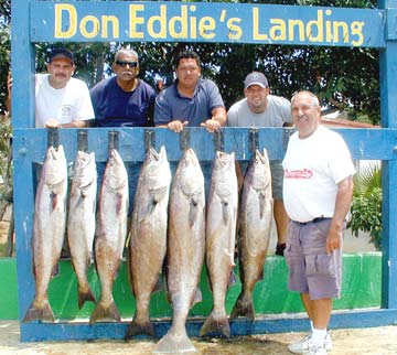 San Quintin Mexico White Seabass Fishing Photo 1