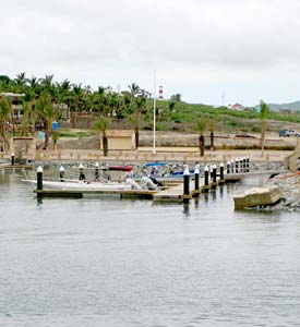 Puerto Los Cabos Mexico Marina Photo 2